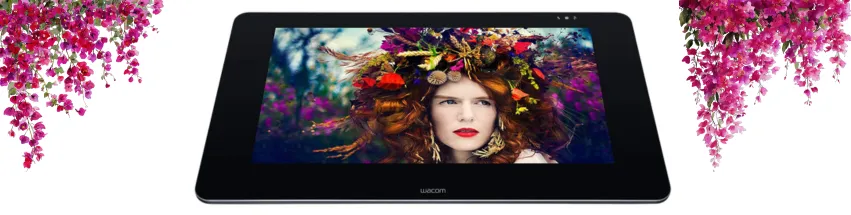 Wacom Pro 27 for graphic designers and illustrators